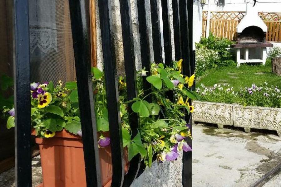 Casa Rural Zubiarena Satrustegui Exteriör bild